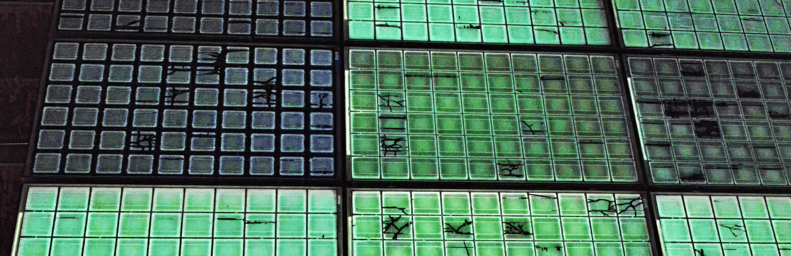 Panels under UVF Light during Night Time